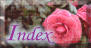 փ{^ INDEX 91~48 2.1KB