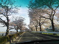 20140406