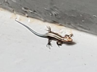 ファイル名: 20190803143214.jpg
ファイルサイズ: 9.7KB 20190803143214