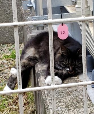 ファイル名: 20190803143331001.jpg
ファイルサイズ: 32.7KB 20190803143331001