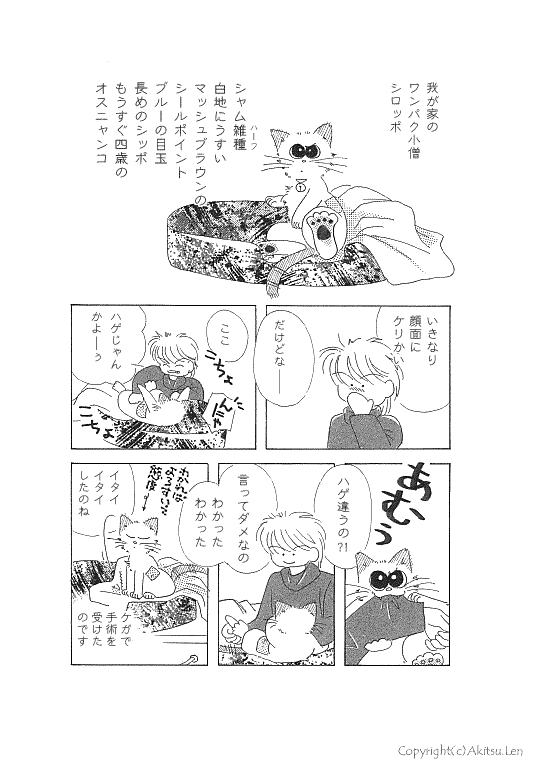 �V���b�|���L