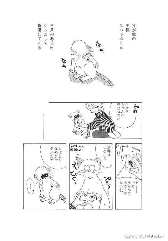 �V���b�|���L