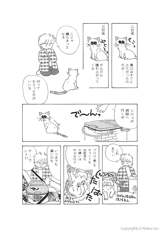 �V���b�|���L