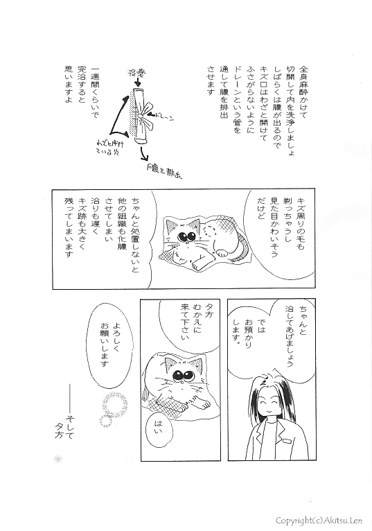 �V���b�|���L