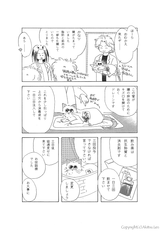 �V���b�|���L