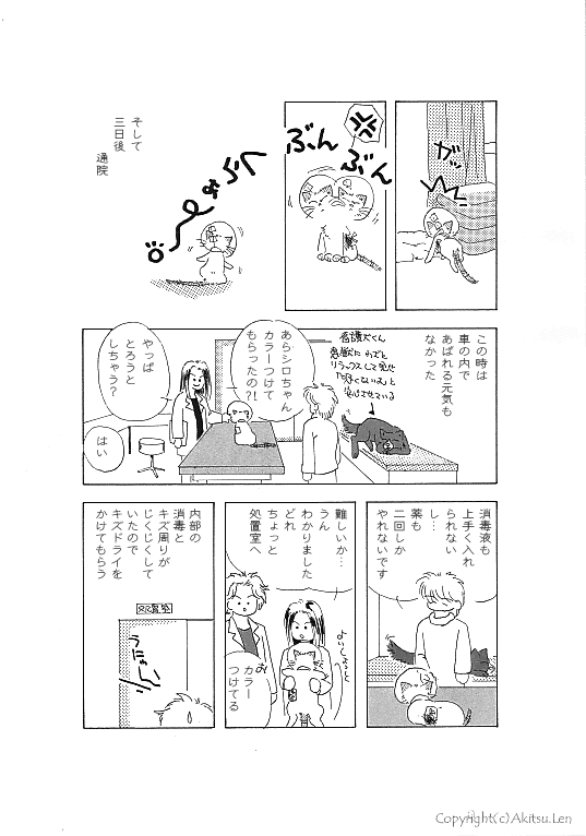 �V���b�|���L