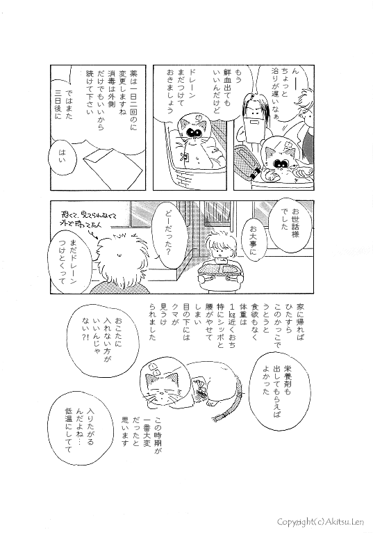 �V���b�|���L