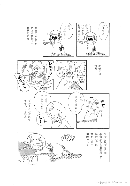 �V���b�|���L