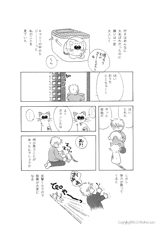 �V���b�|���L