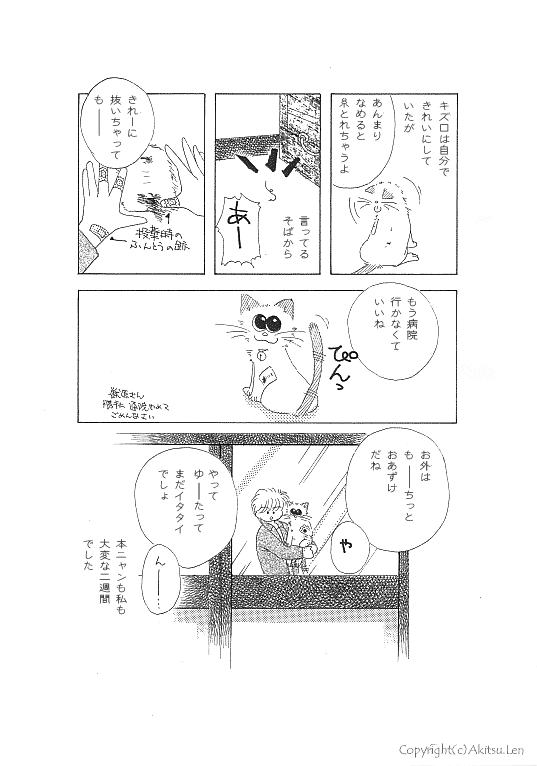 �V���b�|���L