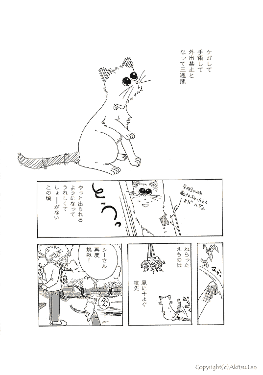 �V���b�|���L