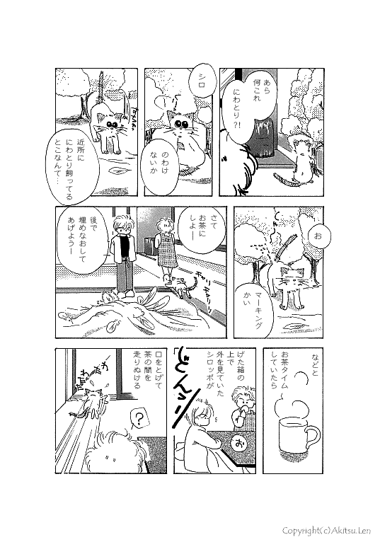 �V���b�|���L