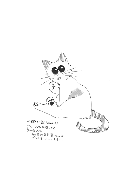 �V���b�|���L