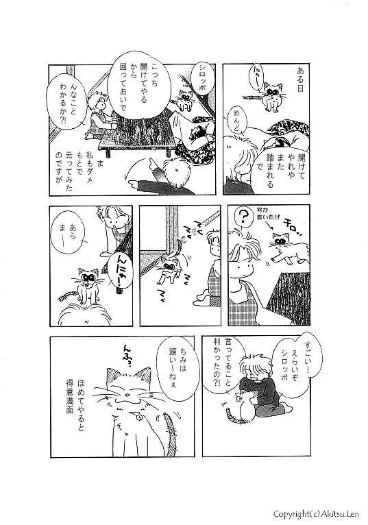 �V���b�|���L