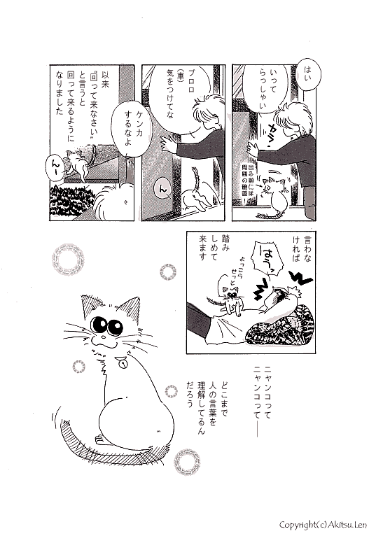 �V���b�|���L